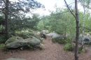 forêt des 3 Pignons